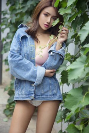 射雕英雄传之东邪西毒